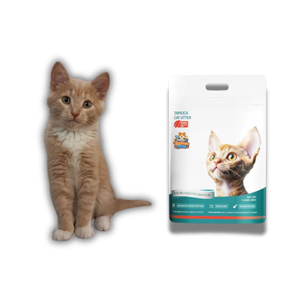 STOP APOLOGIZING WHEN GUESTS COME OVER